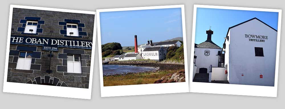 polaroid-collage-3plu